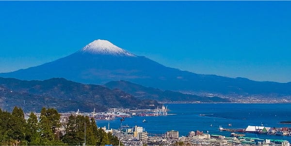 海や富士山を望むお墓